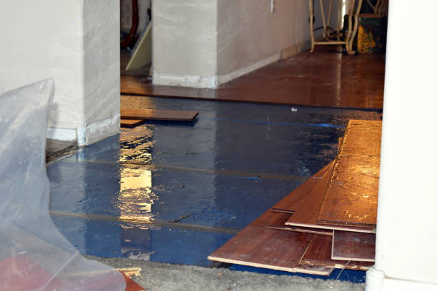 Professional Storm Water Damage Restoration technician working in Bridgewater, SD